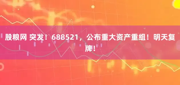 股粮网 突发！688521，公布重大资产重组！明天复牌！