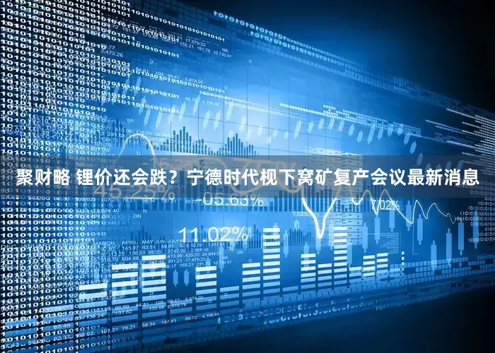聚财略 锂价还会跌？宁德时代枧下窝矿复产会议最新消息